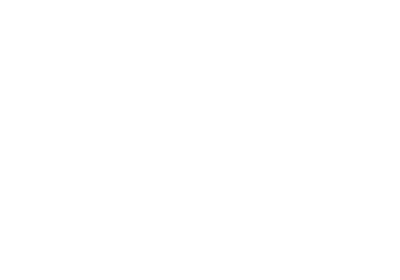 Race map of Interlagos Circuit