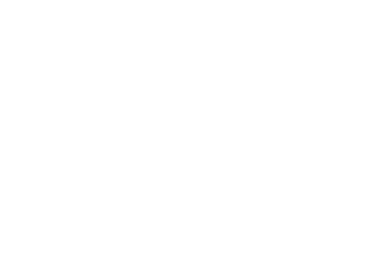 Race map of Pukekohe Park Raceway