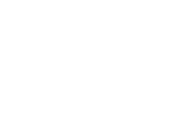 Race map of Homebush Street Circuit